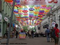 Imagine atasata: Timfloralis - 2015.05.20 - 18.jpg